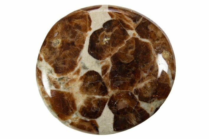 Polished Garnet In Wollastonite Stone - Namibia #343964